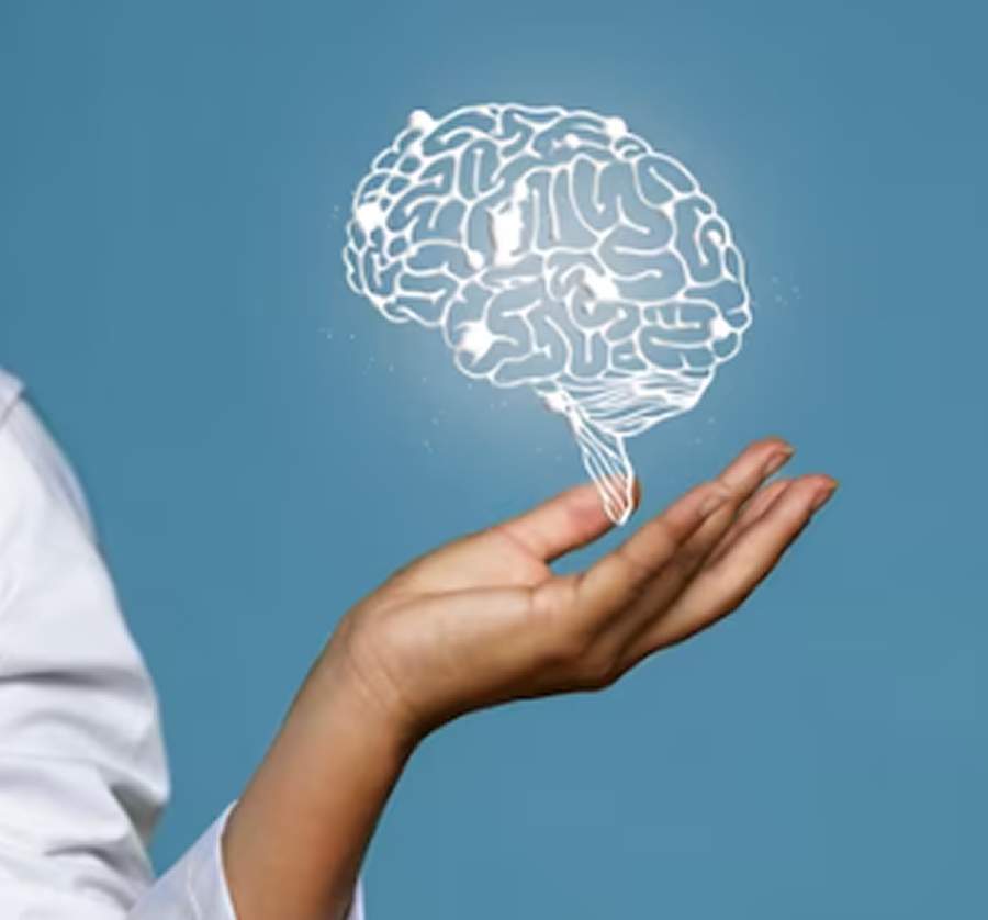 Imagem: Divulgação