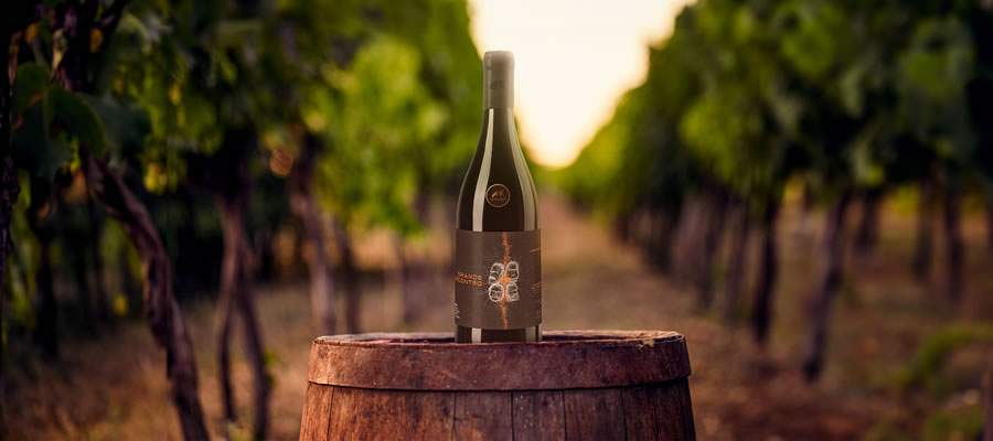 Fotos: Divulga&ccedil;&atilde;o