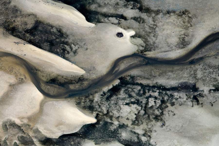 Exposição Coroas_Divulgação