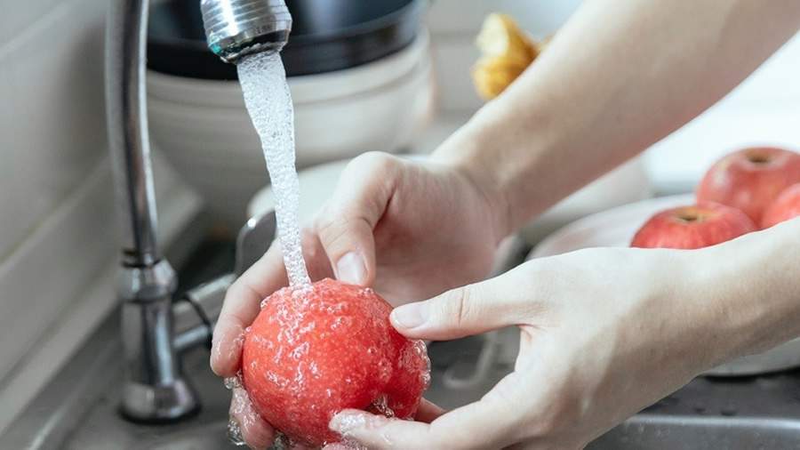  Al&eacute;m dos agrot&oacute;xicos, alimentos podem carregar impurezas que causam doen&ccedil;as/DIVULGA&Ccedil;&Atilde;O