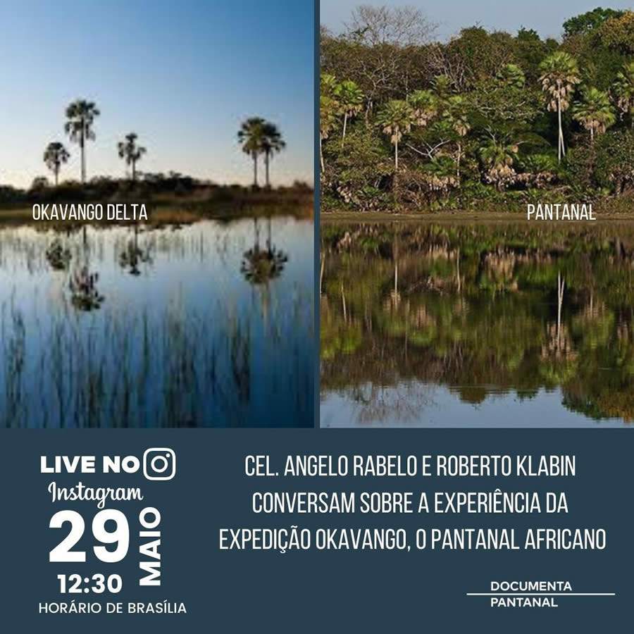 Angelo Rabelo e Roberto Klabin Participam de Live Nesta Sexta, Dia 29, Para Discutir Como o Delta do Okavango Pode Ser Um Modelo de Ecoturismo a Ser Utilizado no Pantanal