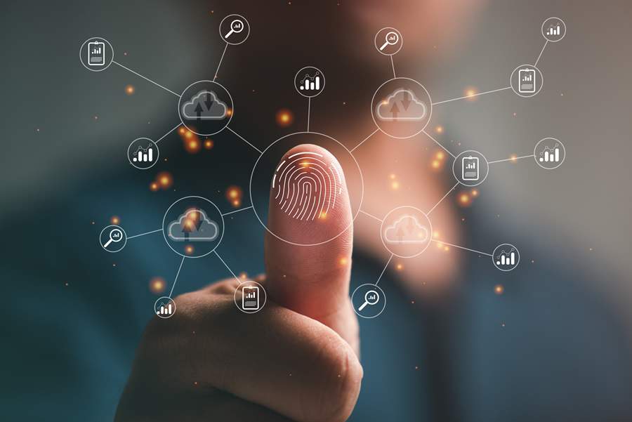 Cr&eacute;dito: Divulga&ccedil;&atilde;o