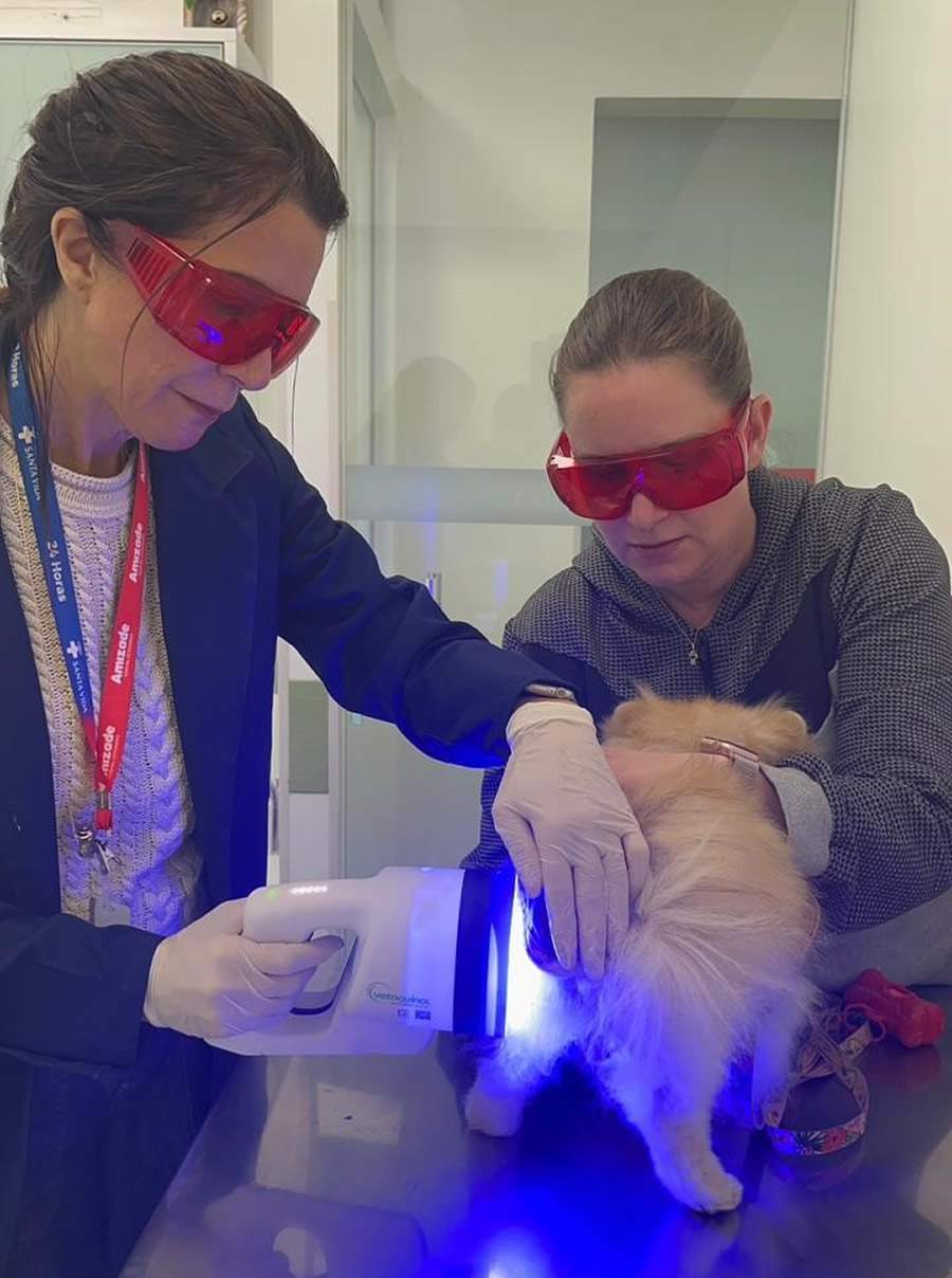 vetoquinol-fotobiomodulacao-chanel-foto-divulgacao