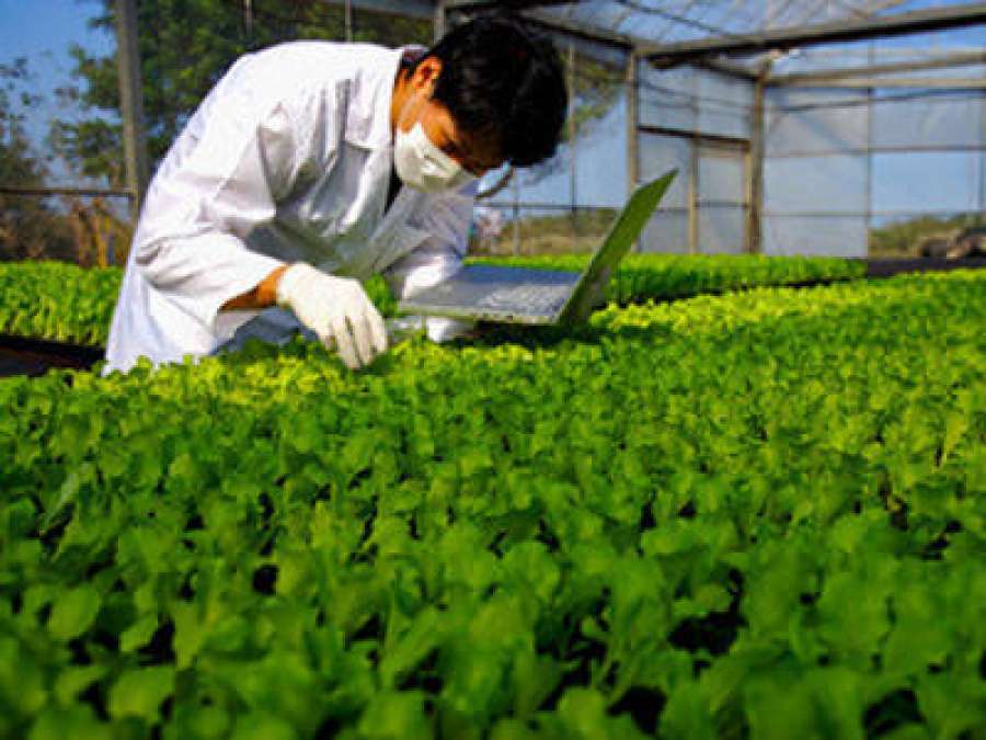 Bureau Veritas entra no mercado de Seguros para o Agroneg&oacute;cio