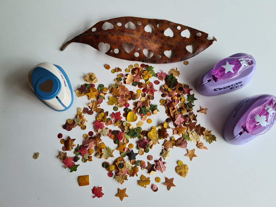 Cr&eacute;dito da imagem: Divulga&ccedil;&atilde;o/Museu Fel&iacute;cia Leirner e Audit&oacute;rio Claudio Santoro