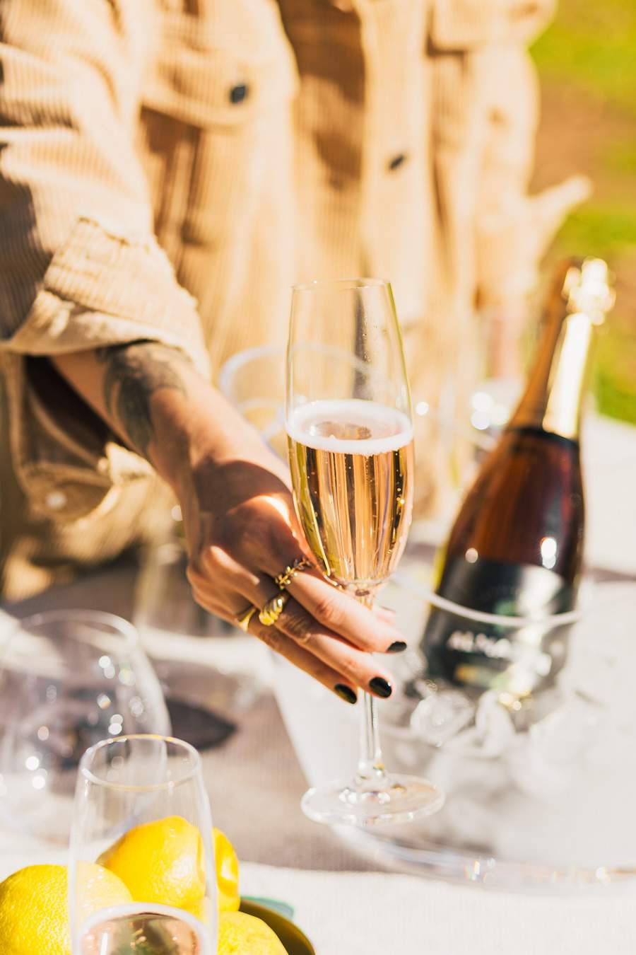 Fotos: Divulga&ccedil;&atilde;o Miolo