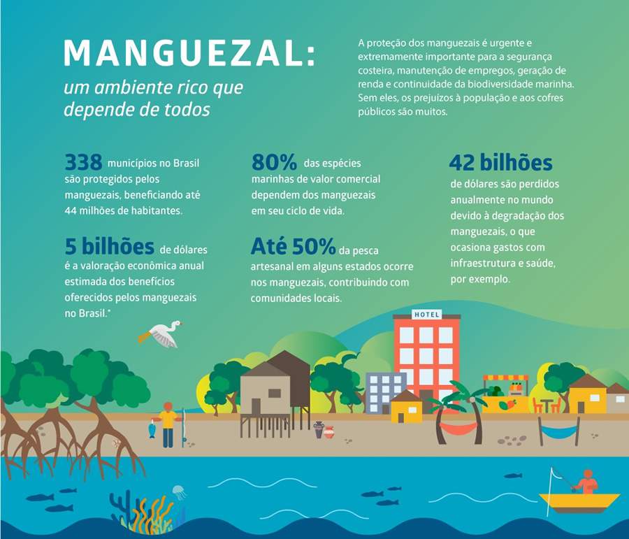 Fonte: “Oceano sem mistérios - Desvendando os Manguezais” - Fundação Grupo Boticário