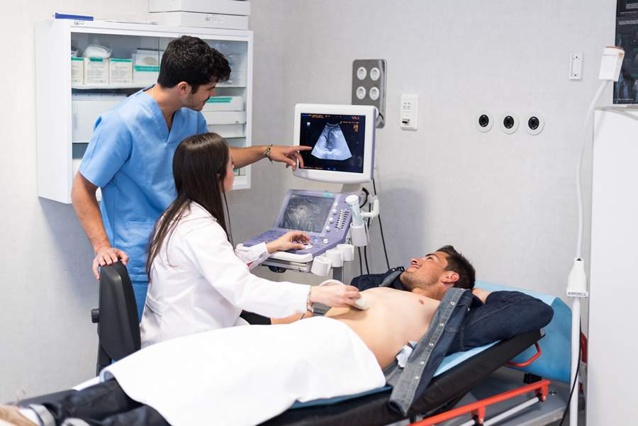 A esteatose hepática é caracterizada pelo acúmulo de gordura no fígado, geralmente associado à síndrome metabólica, que inclui obesidade, diabetes, colesterol elevado e hipertensão arterial - Crédito: Envato