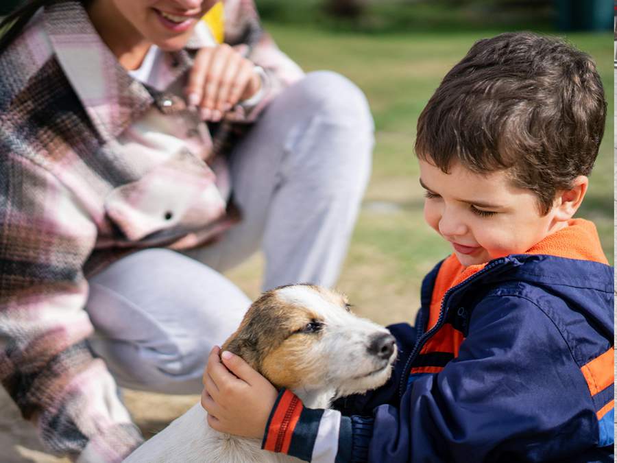 Crédito: Divulgação 