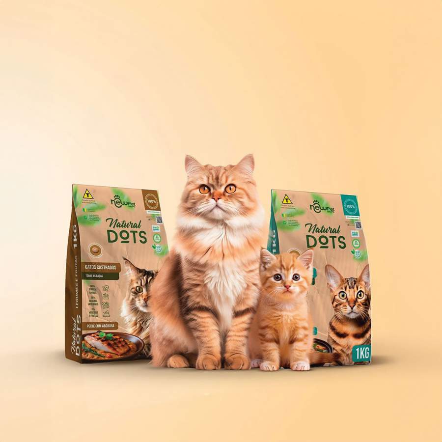 Especialista fala sobre tend&ecirc;ncia em alimenta&ccedil;&atilde;o mais natural para os gatos