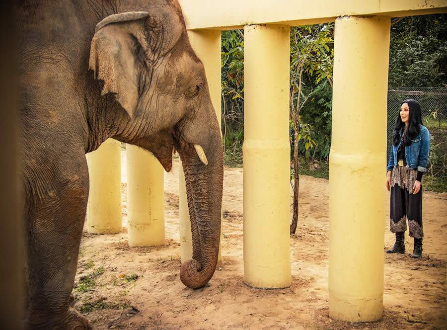 Smithsonian Channel&trade; Confirma Para 22 de Abril Estreia Mundial do Document&aacute;rio 'Cher e o Elefante Solit&aacute;rio'