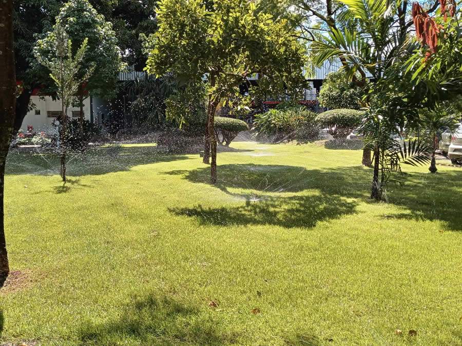 Sistema de irriga&ccedil;&atilde;o prioriza efici&ecirc;ncia e uso m&iacute;nimo de &aacute;gua poss&iacute;vel - Divulga&ccedil;&atilde;o