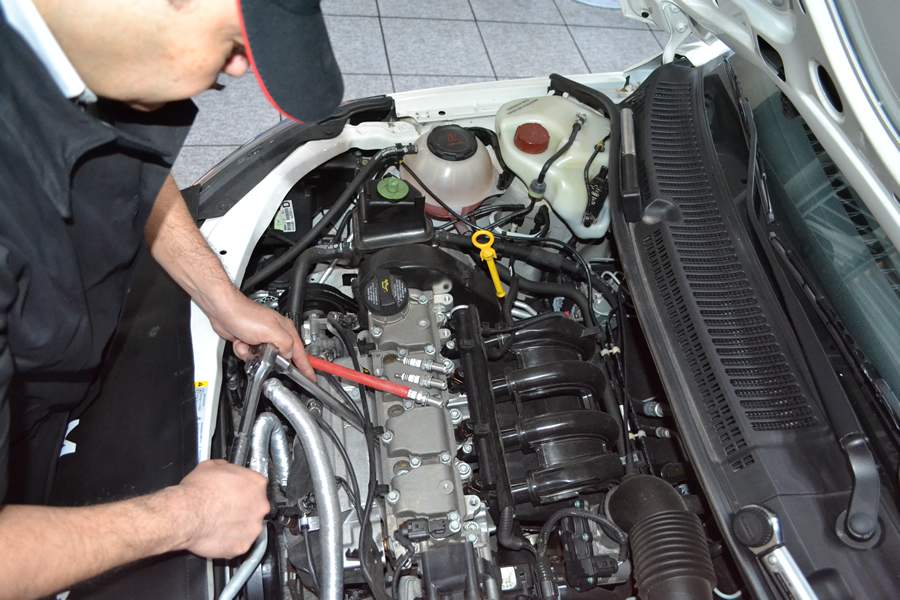 Crédito: Divulgação