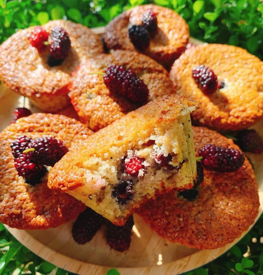 Receita de Muffin de Amoras com sementes de Chia, além de saudável aproveita as frutas da estação