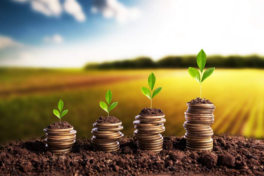 Becomex Agroneg&oacute;cio - iStock