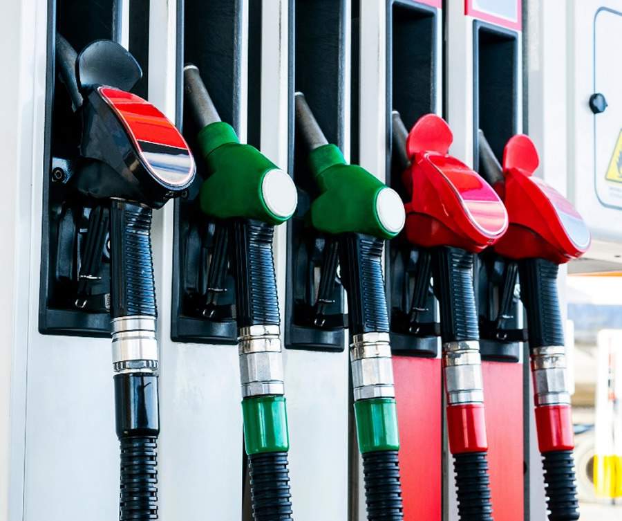 Foto: Banco de imagens/ Canva