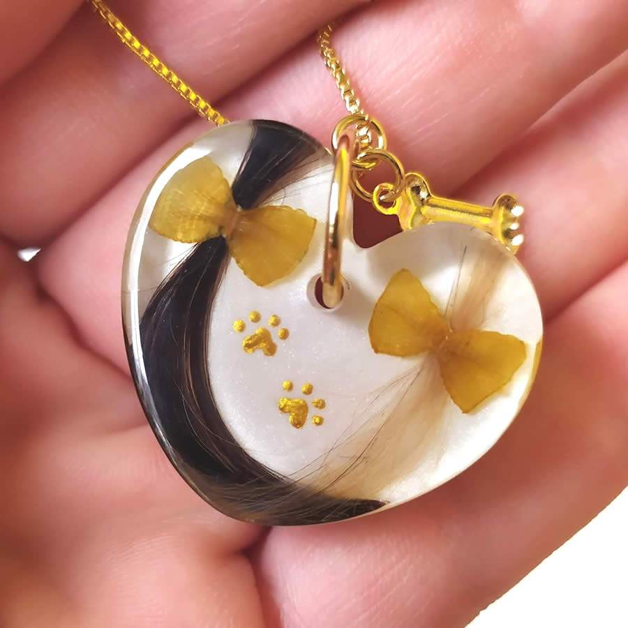 Divulga&ccedil;&atilde;o