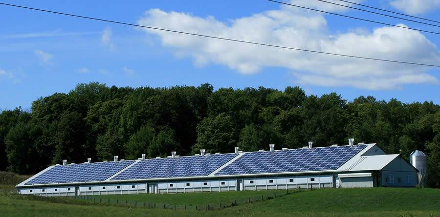 Agronegócio aposta em energia solar para reduzir custos