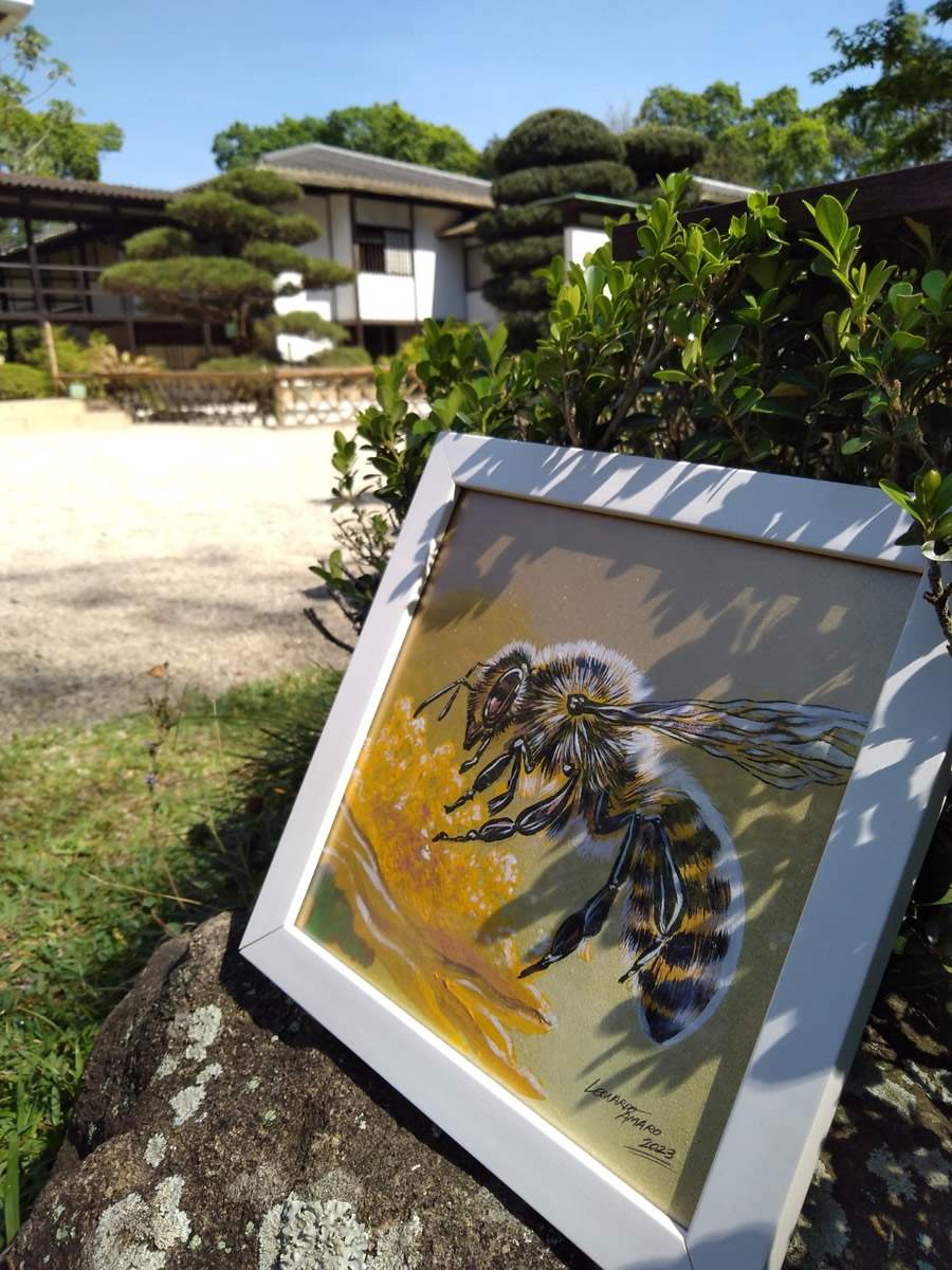 Crédito Leonardo Amaro