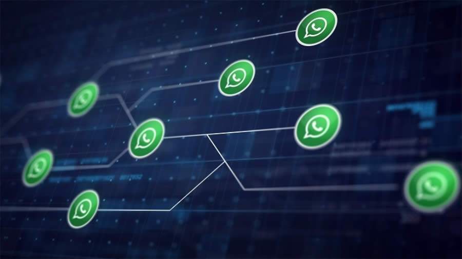 WhatsApp: Um novo canal de relacionamento com o cliente