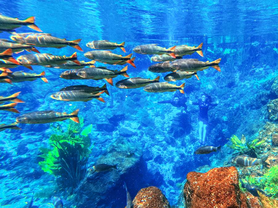  Nascente Azul - flutua&ccedil;&atilde;o - Foto por divulga&ccedil;&atilde;o Nascente Azul