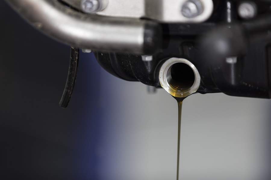 Divulga&ccedil;&atilde;o