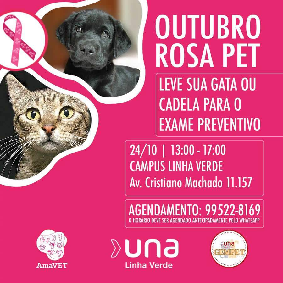 Outubro Rosa Pet alerta para c&acirc;ncer de mama em gatas e cadelas