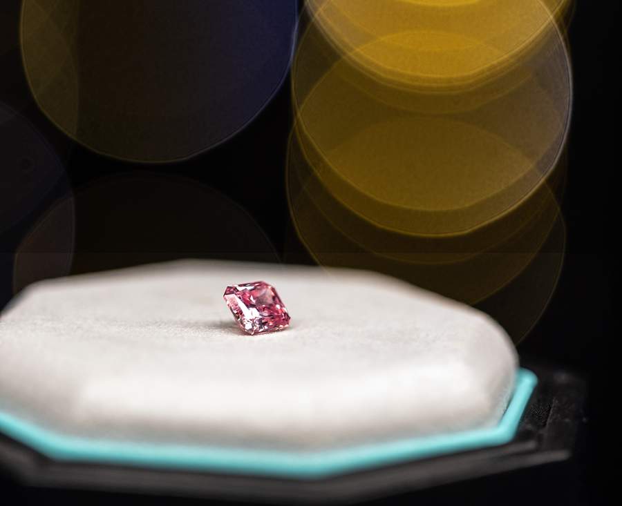 Imagem: Divulga&ccedil;&atilde;o