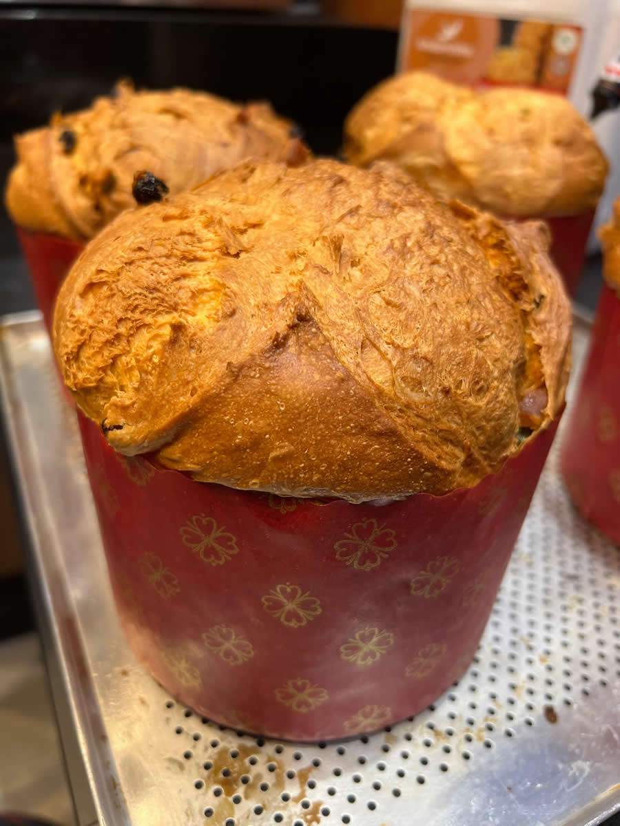 Crédito: Divulgação 