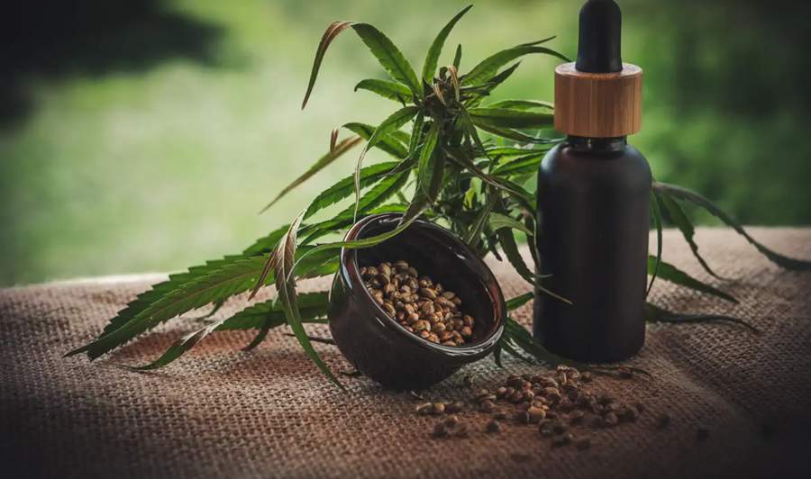  Divulga&ccedil;&atilde;o