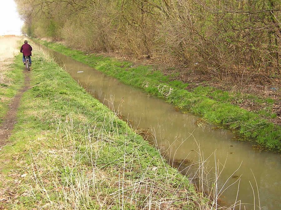 Seguro AIG Responsabilidade por Danos de Polui&ccedil;&atilde;o