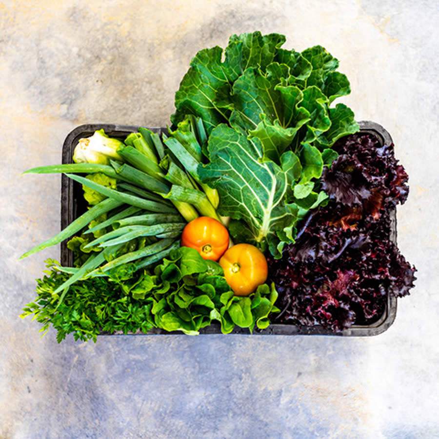 Foto - Divulga&ccedil;&atilde;o