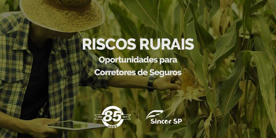 Oportunidades do agroneg&oacute;cio &eacute; tema de live da Comiss&atilde;o de Riscos Rurais do Sincor-SP