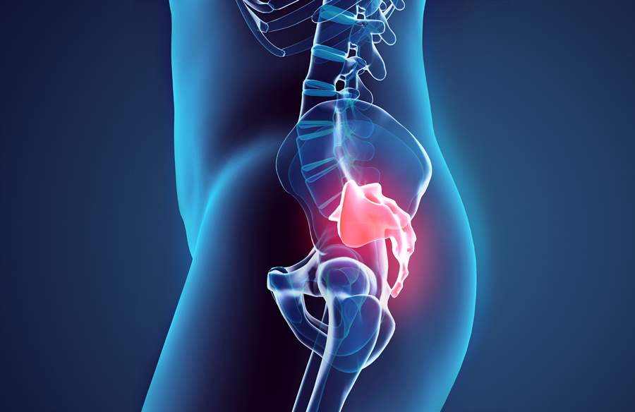 Coccix - Divulga&ccedil;&atilde;o