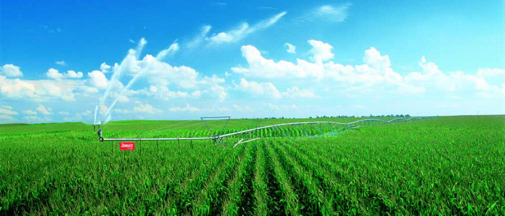 Produtores investem em tecnologia de irrigação e têm resultados acima da média nacional
