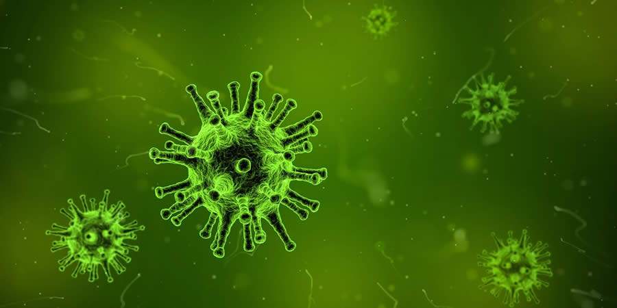 Vírus, Bactéria e a Ecologia Microbiana: aliança entre o homem e a natureza em tempos de COVID-19