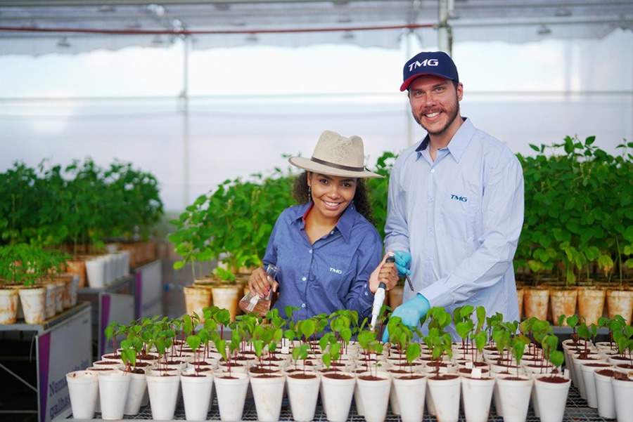 Cr&eacute;dito: Divulga&ccedil;&atilde;o TMG
