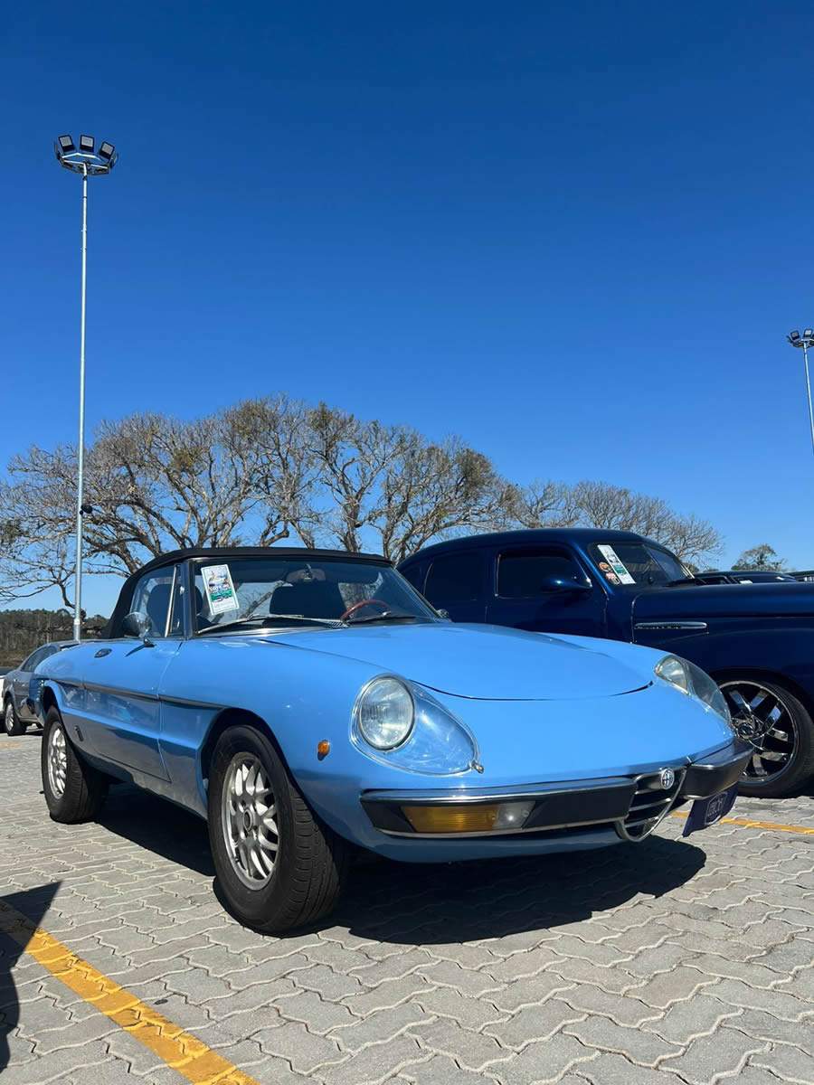 Público pode conferir de perto diversos veículos antigos especiais - Divulgação