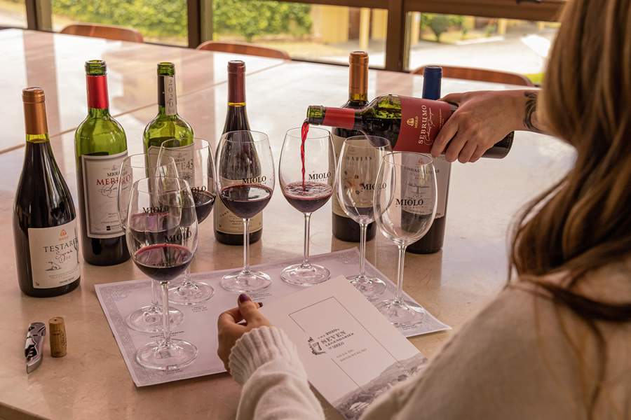 ENOTURISMO BRASILEIRO - Miolo Wine Group lan&ccedil;a experi&ecirc;ncias na Serra e Campanha Ga&uacute;cha