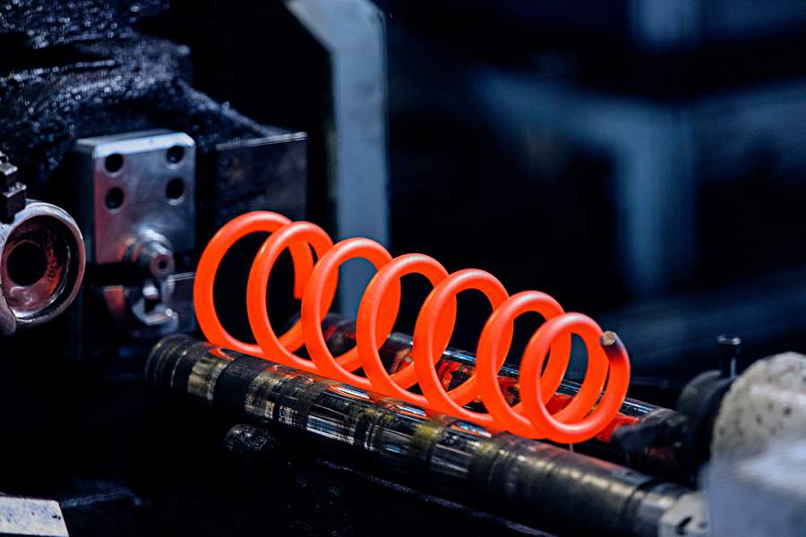   Mola - Divulga&ccedil;&atilde;o