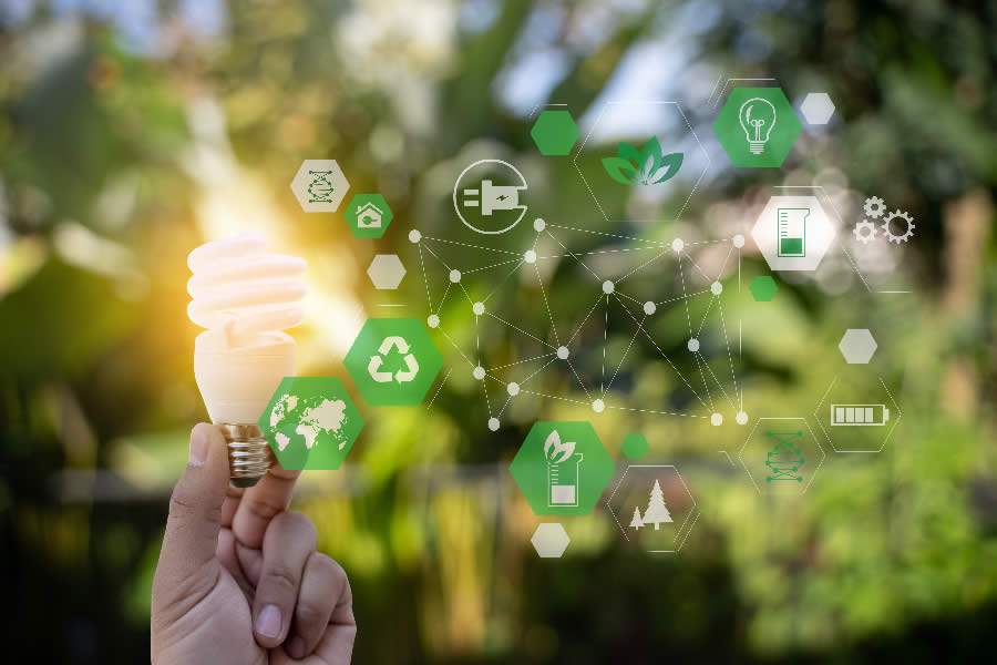 Compras p&uacute;blicas: empresas sustent&aacute;veis t&ecirc;m mais chances de vencer licita&ccedil;&otilde;es