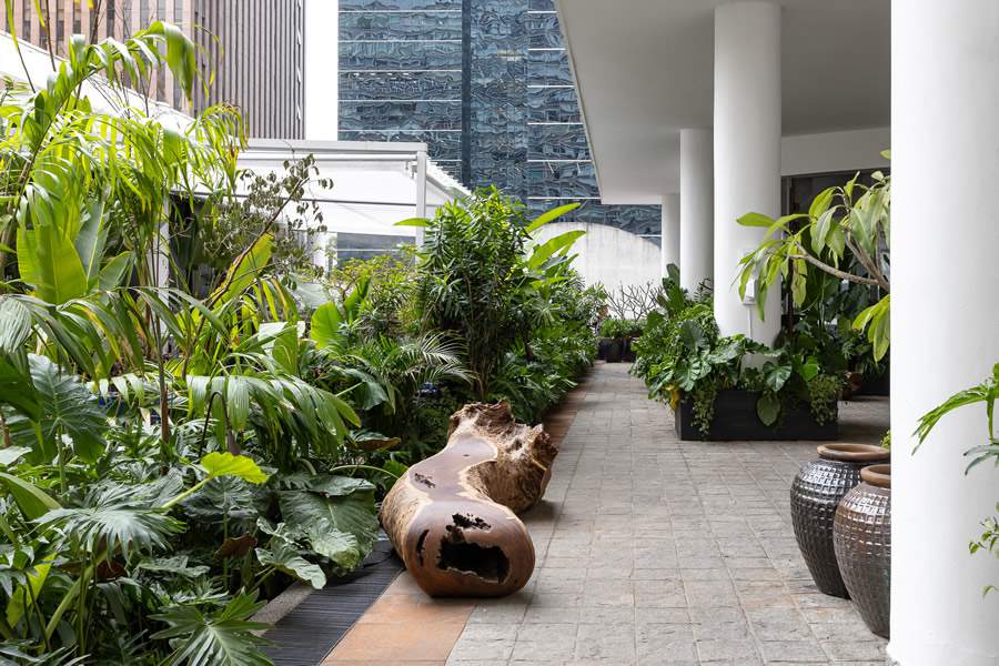 A paisagista M&ocirc;nica Costa &eacute; comprometida em transformar espa&ccedil;os urbanos em ambientes mais verdes, saud&aacute;veis e acolhedores, utilizando muitos sons da natureza | Foto: Keniche Santos