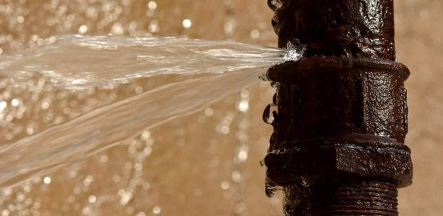 Divulga&ccedil;&atilde;o