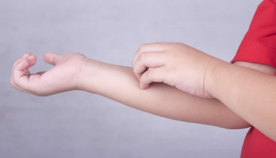 Imagem: MK Photograp55/ShutterStock