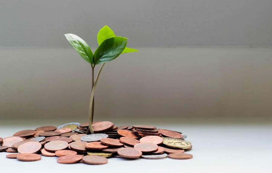 Imagem: Micheile Henderson/Unsplash