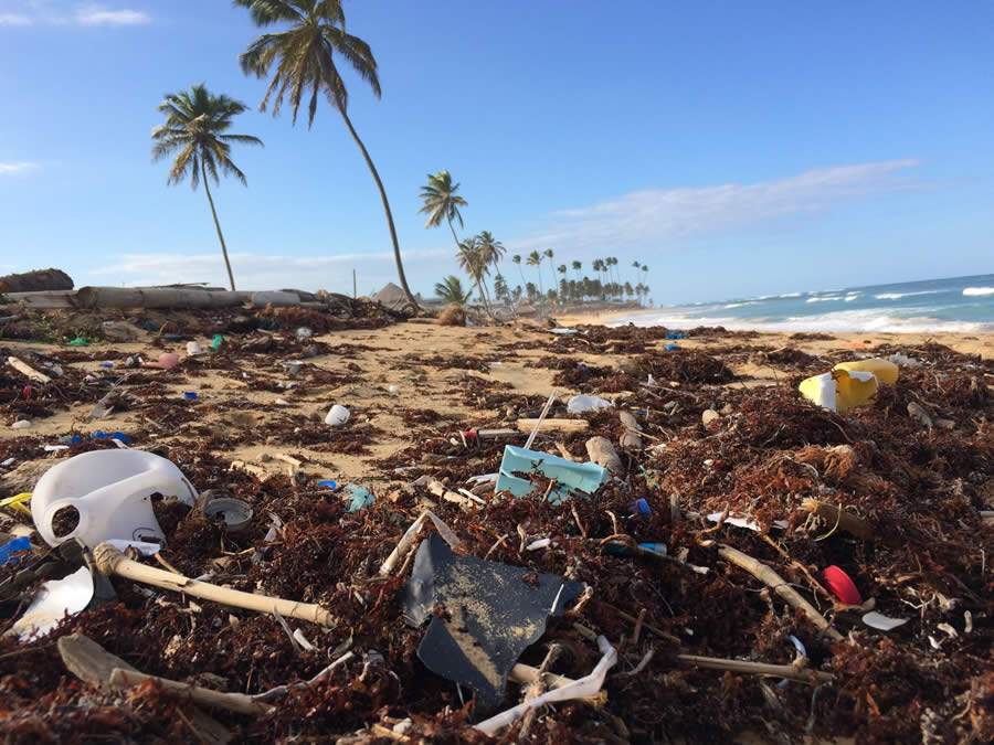 Campanha mundial busca evitar uso de plástico em julho