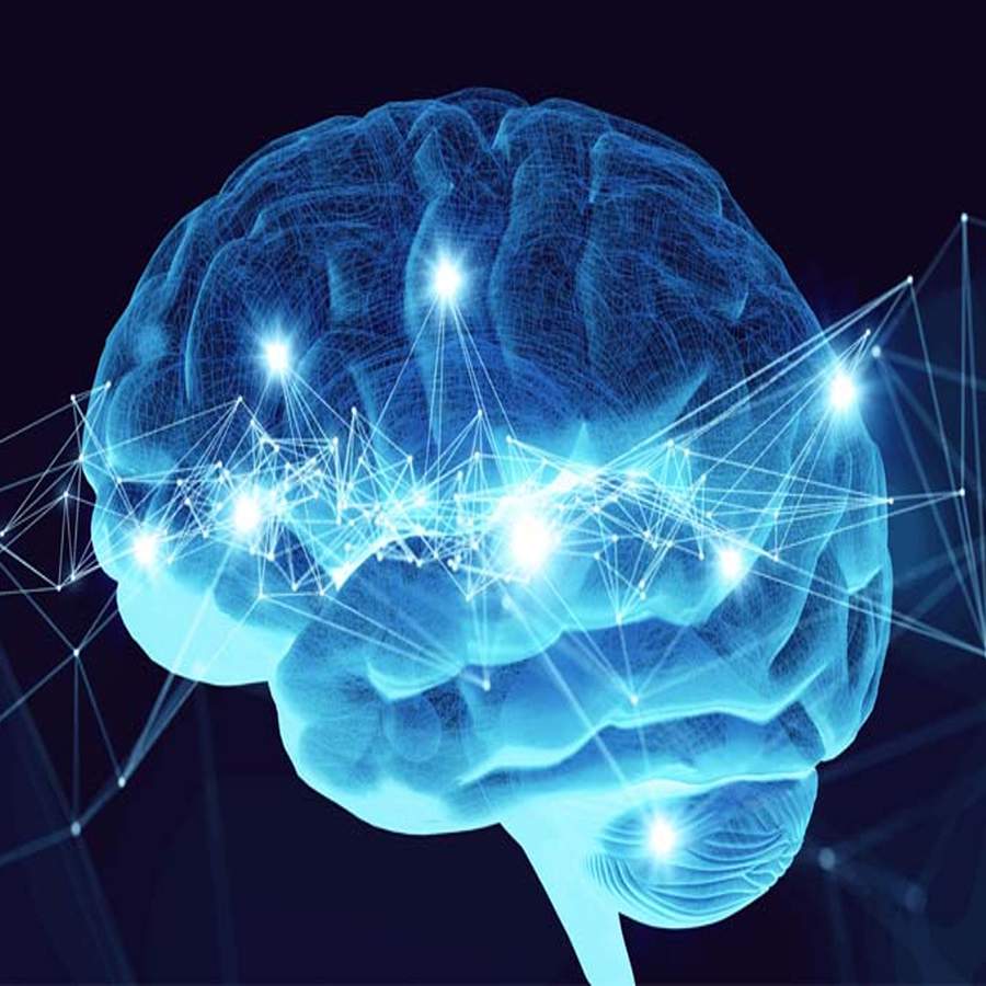 Neuromarketing: como a ci&ecirc;ncia pode desvendar a prefer&ecirc;ncia dos Clientes