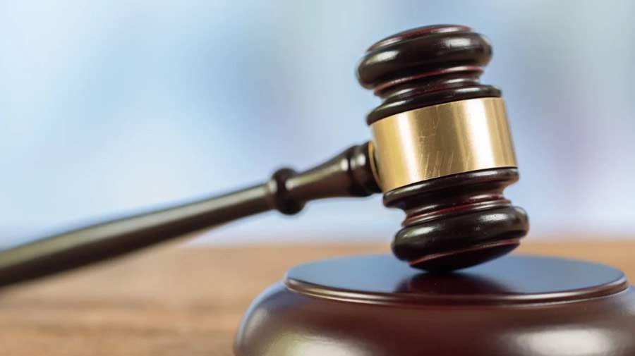 Avan&ccedil;o tecnol&oacute;gico impulsiona a transpar&ecirc;ncia nos leil&otilde;es