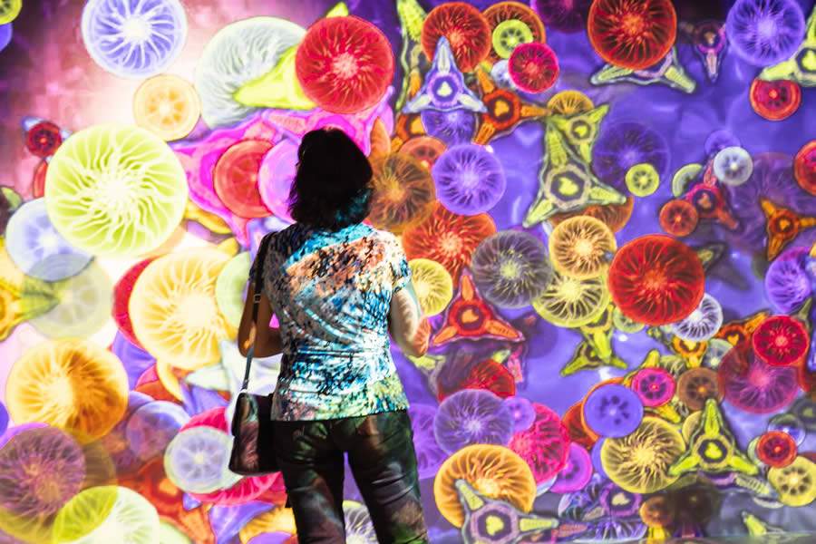 Uma viagem visual e sonora nas f&eacute;rias do Colinas Shopping