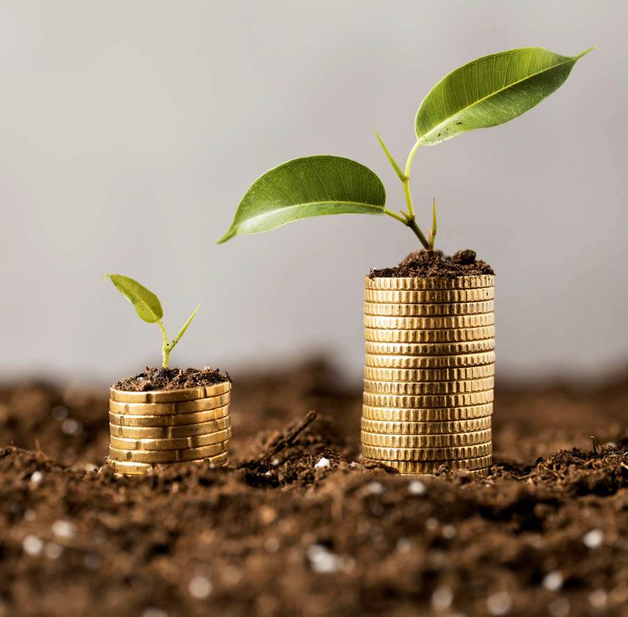 Crédito: Divulgação  